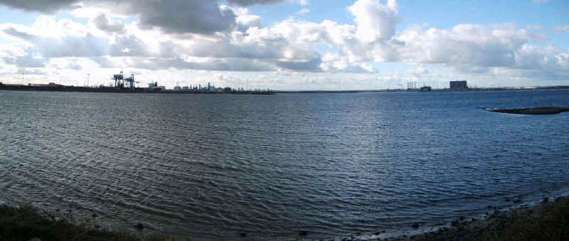 wpeD.jpg (89889 bytes)
