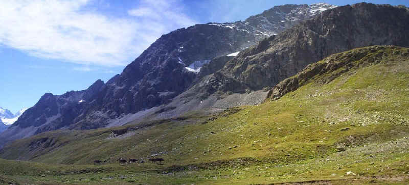 wpe21.jpg (101960 bytes)