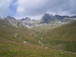 wpe2A.jpg (162692 bytes)