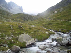 wpe1.jpg (226977 bytes)