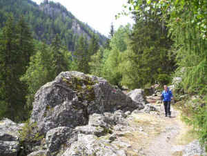 wpe7.jpg (56495 bytes)