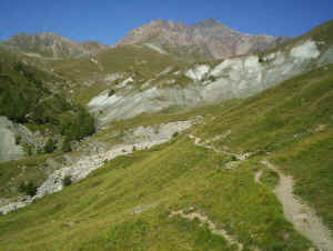 wpeF.jpg (34900 bytes)