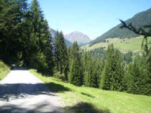 wpe19.jpg (41685 bytes)