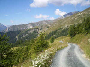 wpe5.jpg (39286 bytes)