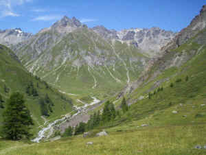 wpe7.jpg (35818 bytes)