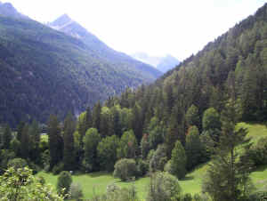 wpeB.jpg (212843 bytes)